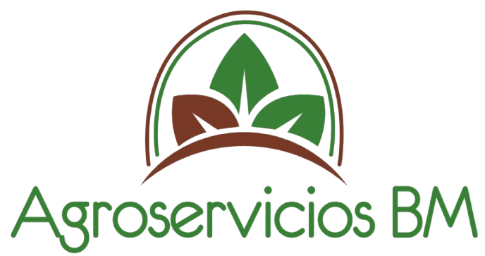 Equipo Clase 5