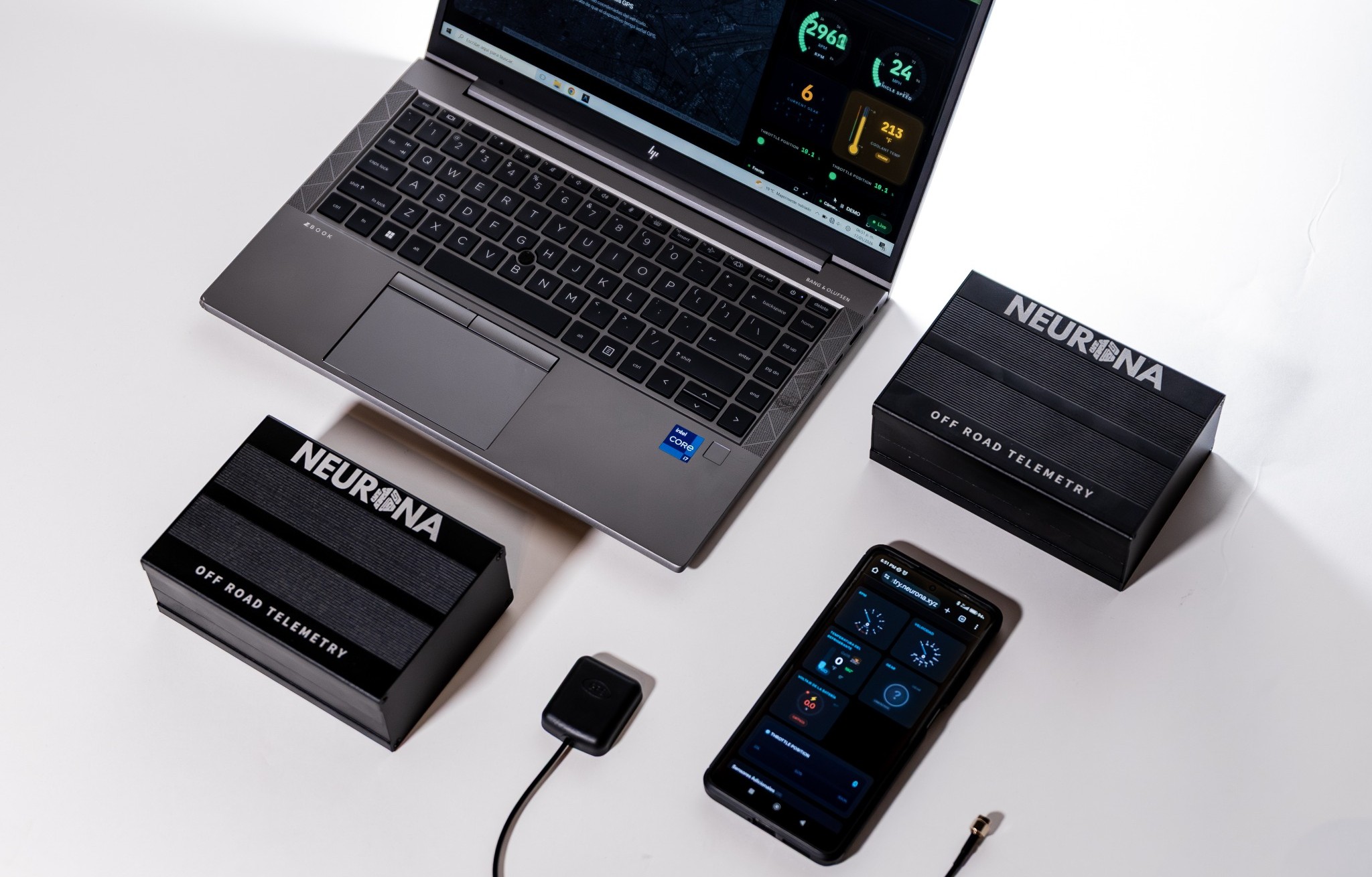 Neurona App on Laptop